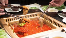 平城美食爆料事件视频播放,视频揭秘热门餐厅背后的秘密